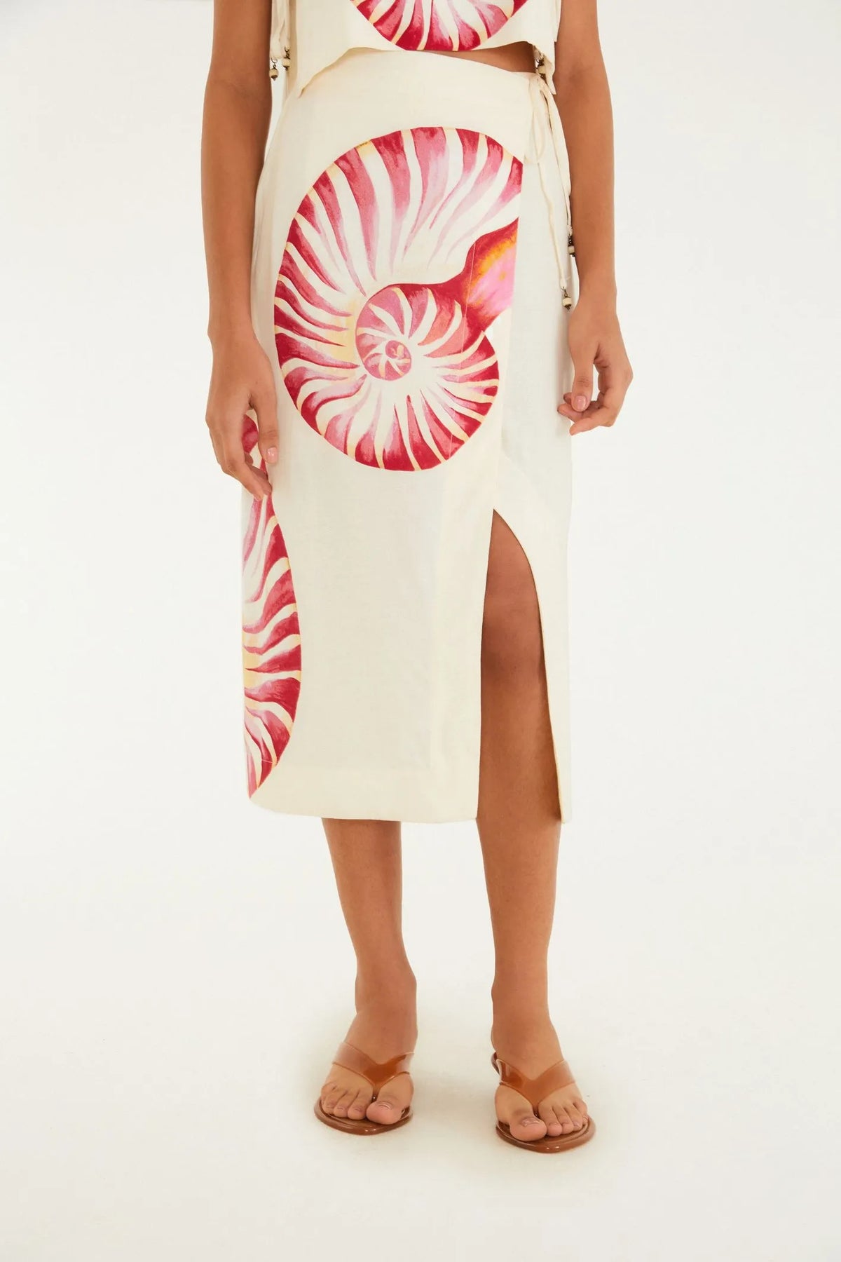 SAIA PAREO AMONITA E