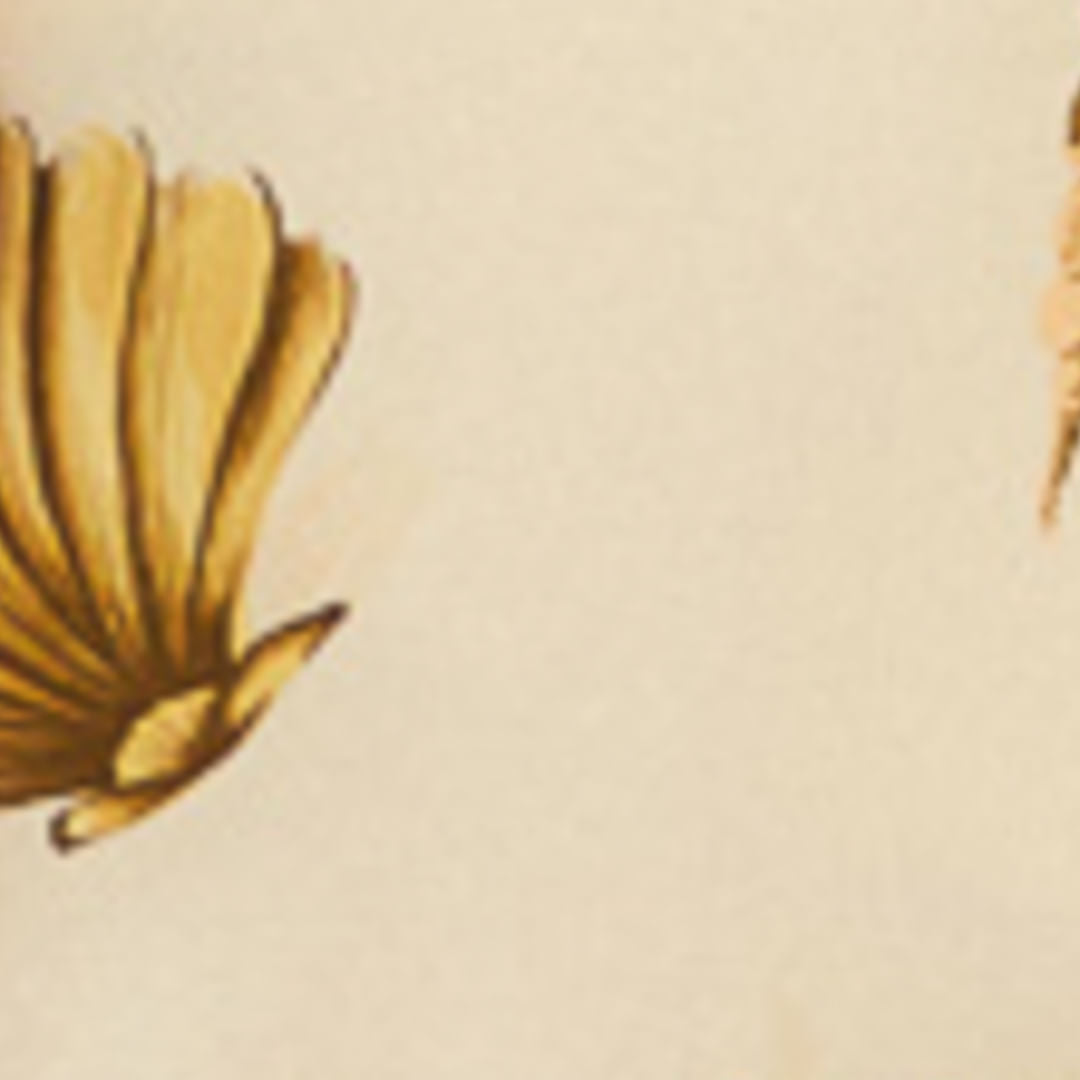 Vestido Corto Estampado Mar de Recuerdo