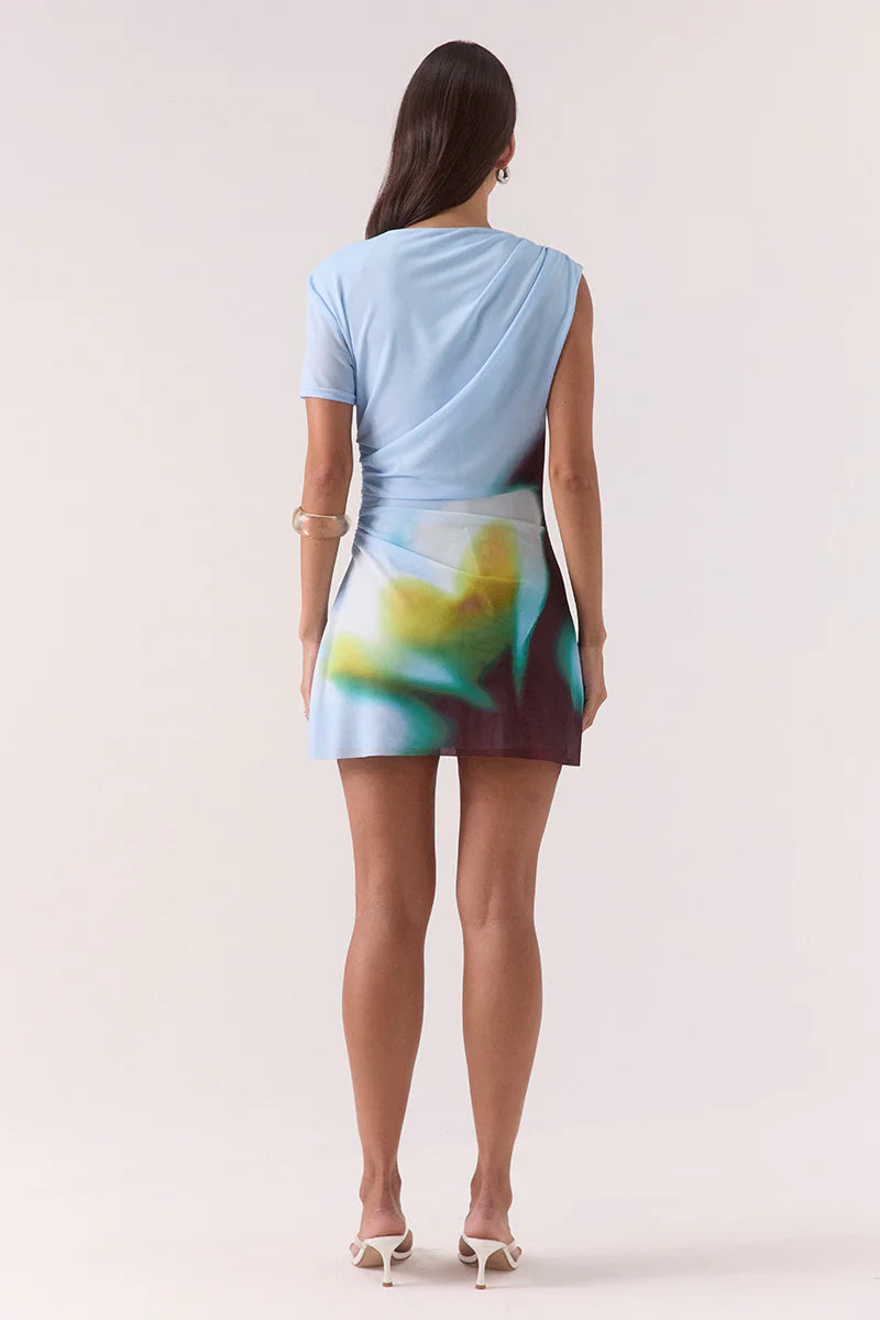 Zinnia Mesh Mini Dress