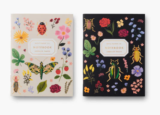 Pair of 2 Curio Pocket Notebooks