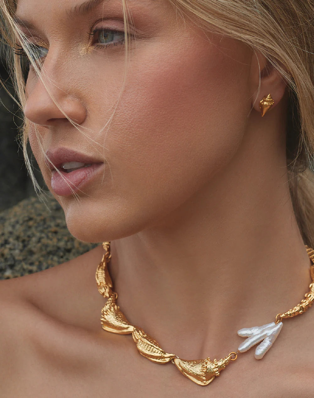 Almeja Set