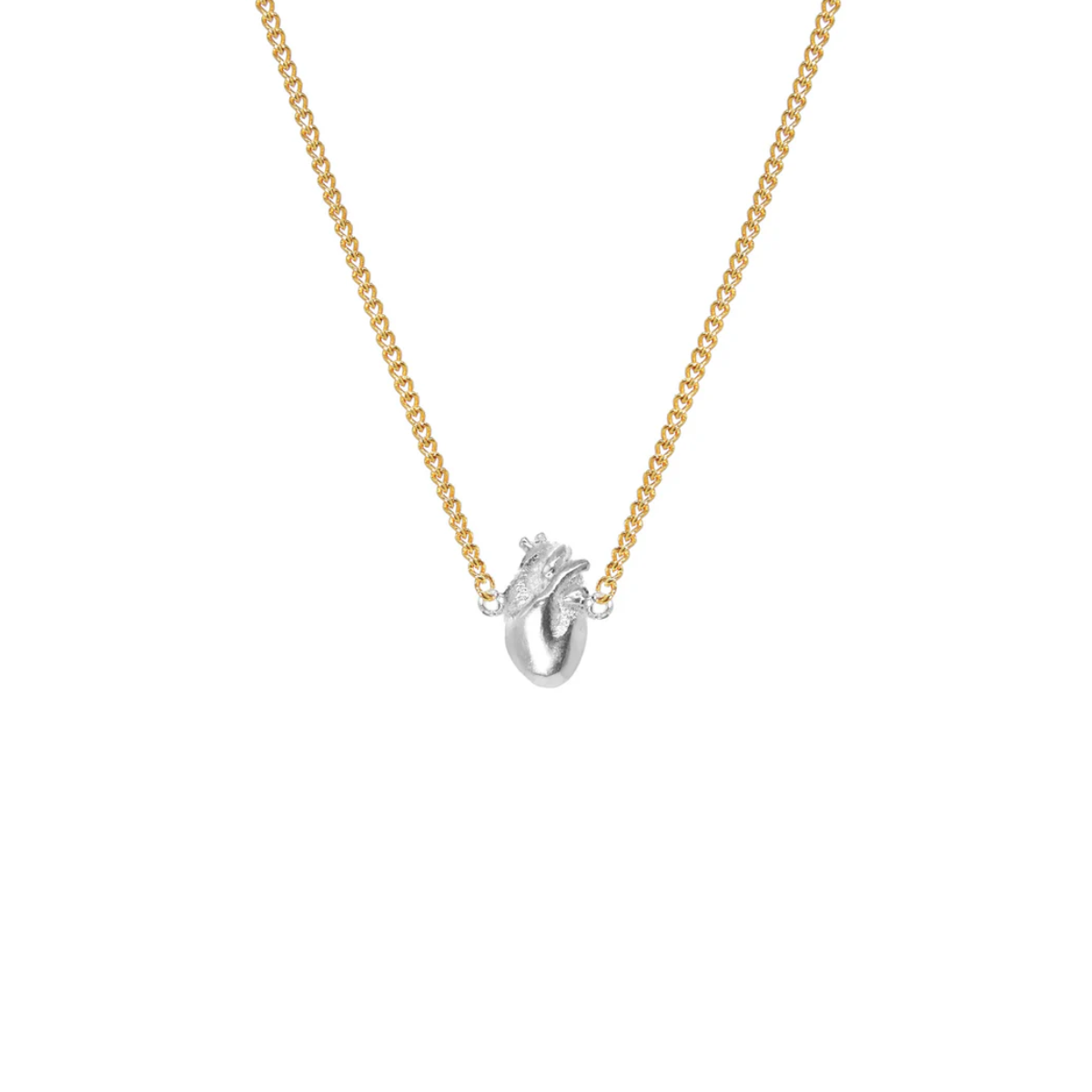 CADENA ANATOMIK TINY G&S